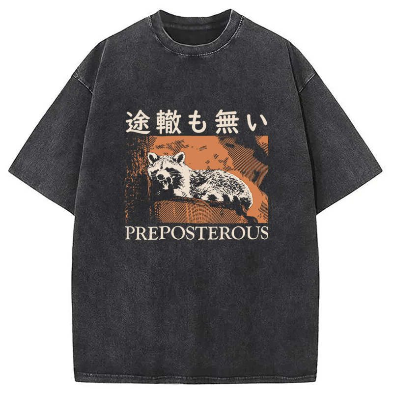 Tokyocanvas Preposterous Raccoon Washed T-Shirt