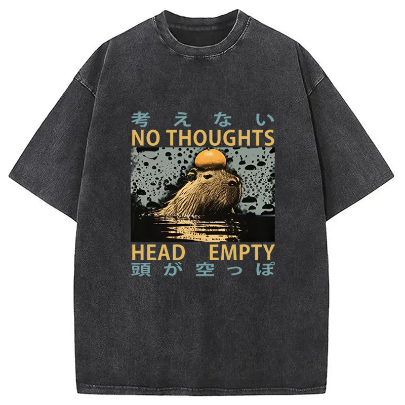 Tokyocanvas No Thoughts Head Empty Washed T-Shirt