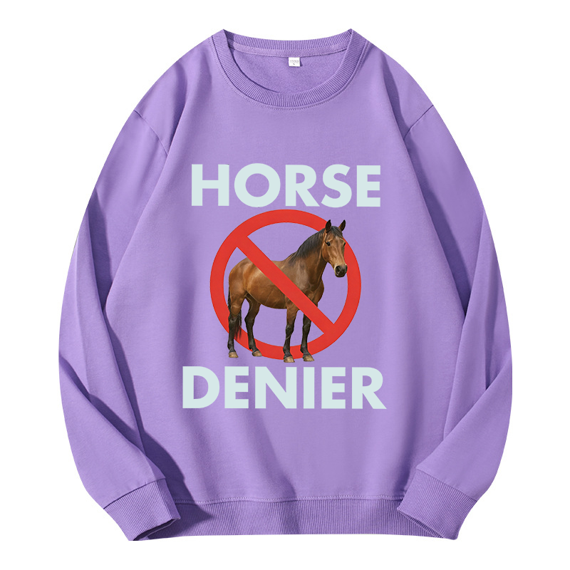 Tokyocanvas Funny Horse Denier Conspiracy Theory Classic Sweatshirt