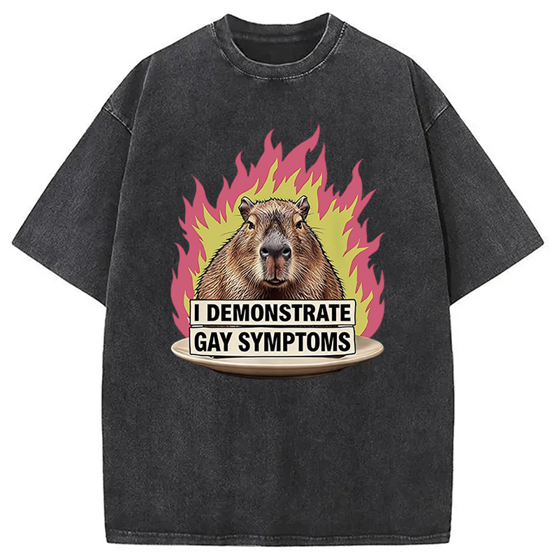 Tokyocanvas I Demonstrate Gay Symptoms Funny Washed T-Shirt