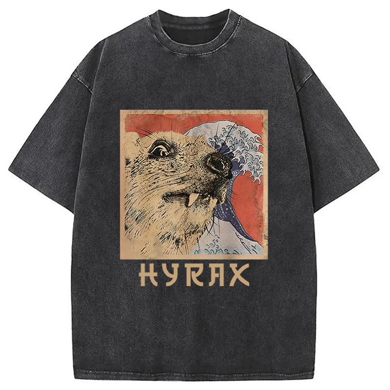 Tokyocanvas Hyrax Japanese Vintage Washed T-Shirt