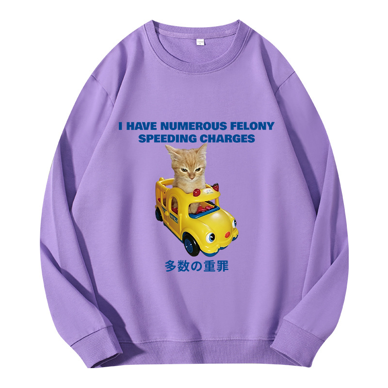 Tokyocanvas I Have Numerous Felonies For Speeding Classic Sweatshirt