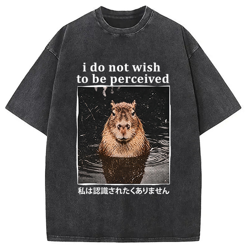Tokyocanvas I Do Not Wish to Be Perceived Capybara Washed T-Shirt