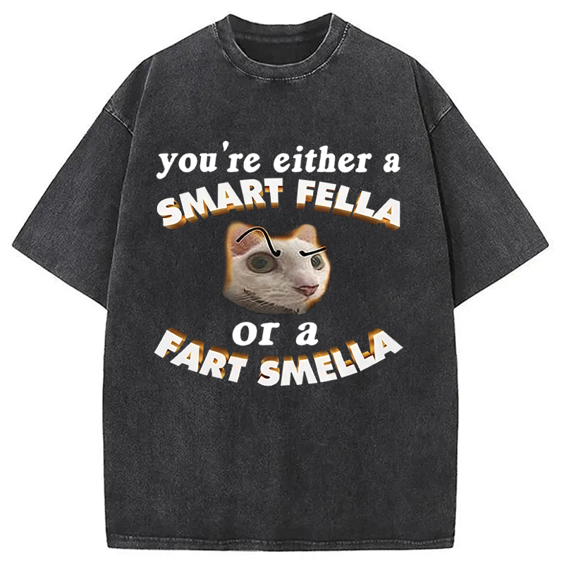 Tokyocanvas You're Either A Smart Fella Or A Fart Smella Funny Cat Washed T-Shirt