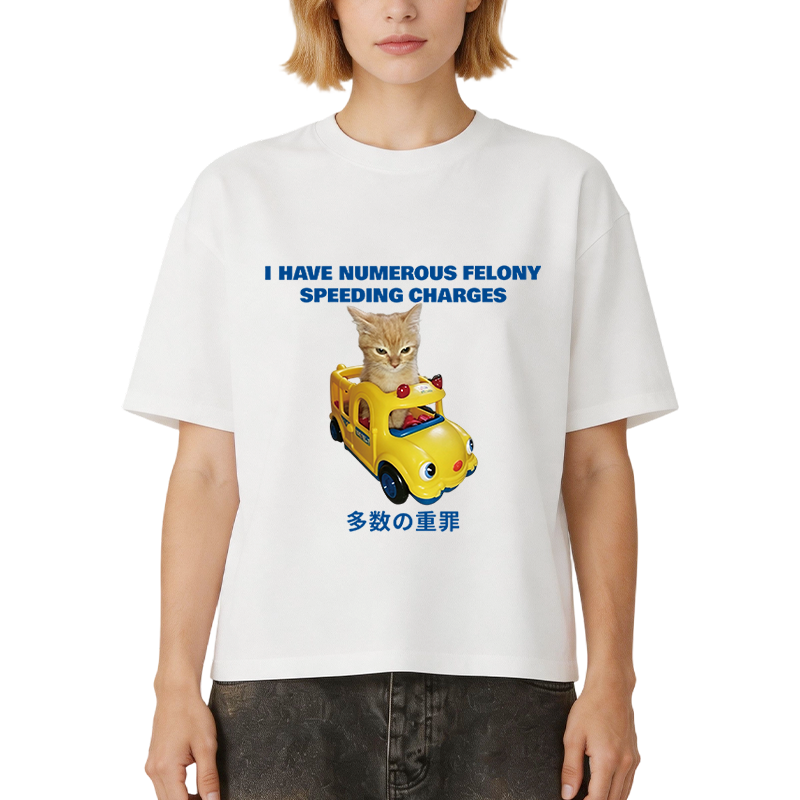 Tokyocanvas I Have Numerous Felonies For Speeding Boxy T-shirt