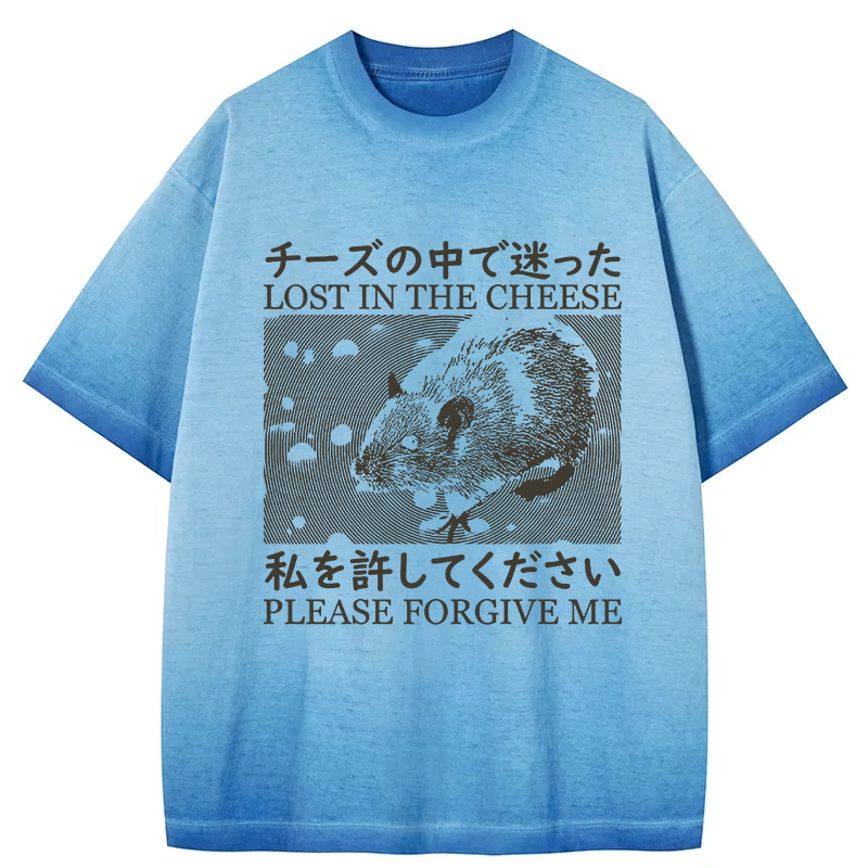 Tokyocanvas Lost in the Cheese Please Forgive Me Gradient Washed T-Shirt