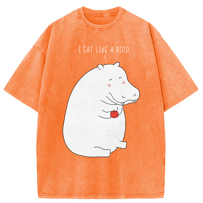 Tokyocanvas Humble Hippo Washed T-Shirt