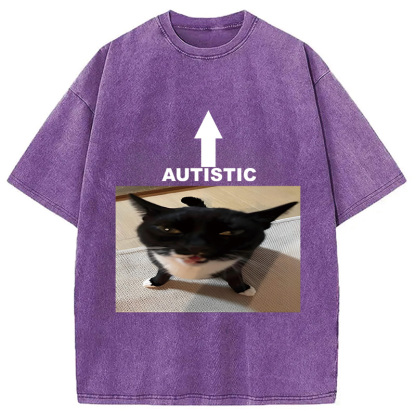 Tokyocanvas Autistic Cat Washed T-Shirt