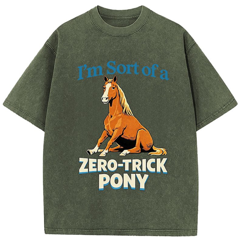 Tokyocanvas Zero Trick Pony Washed T-Shirt