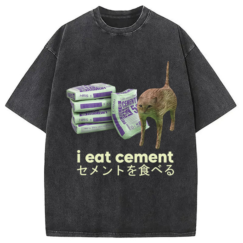 Tokyocanvas Funny Internet Cement Cat Washed T-Shirt
