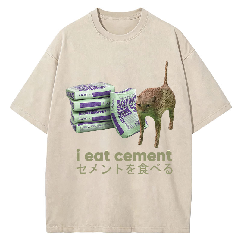 Tokyocanvas Funny Internet Cement Cat Washed T-Shirt