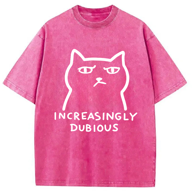 Tokyocanvas Increasingly Dubious Washed T-Shirt