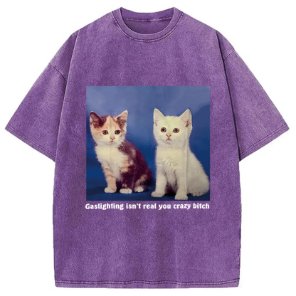 Tokyocanvas Gaslighting Isn't Real You Crazy Bit*h Washed T-Shirt
