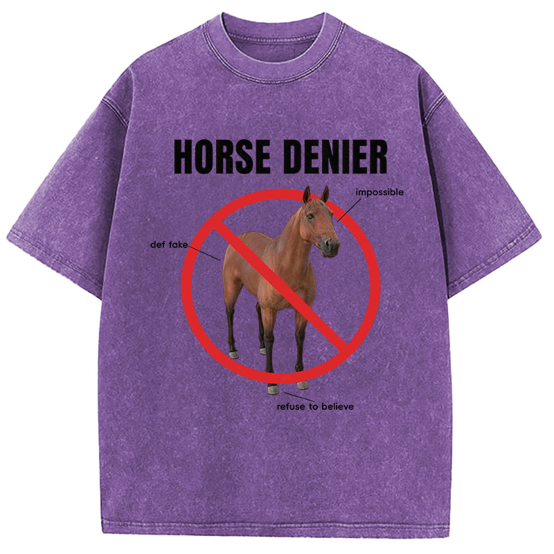 Tokyocanvas Horse Denier Analysis Washed T-Shirt