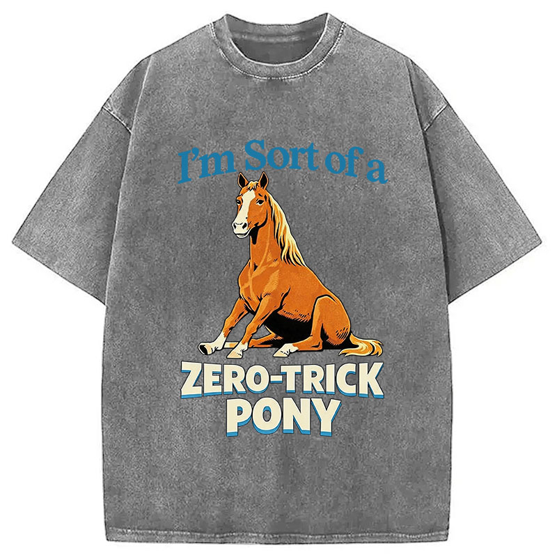 Tokyocanvas Zero Trick Pony Washed T-Shirt
