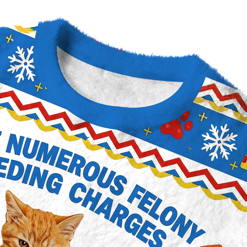 Tokyocanvas I Have Numerous Felonies For Speeding Blue Fuzzy Christmas Ugly Sweatshirt