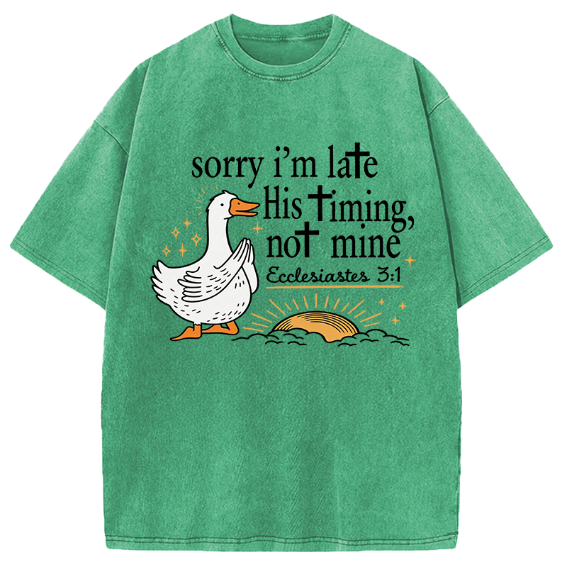 Tokyocanvas His Timing Not Mine Goose Washed T-Shirt
