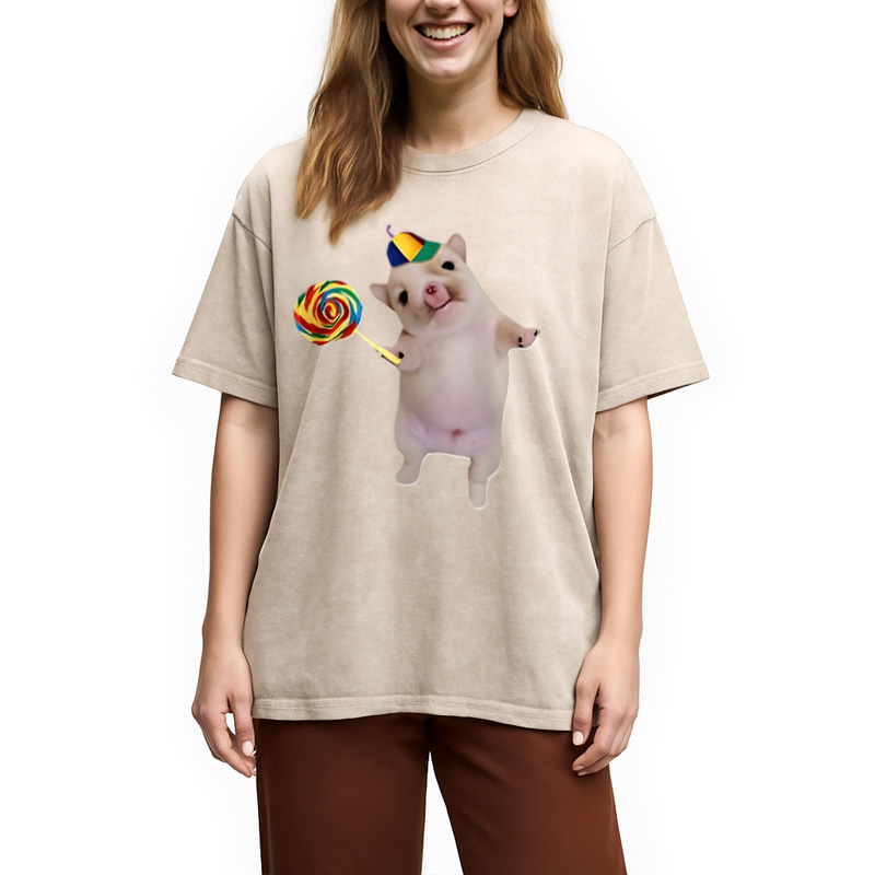 Tokyocanvas Funny Silly Dog with Lollipop Meme Washed T-Shirt