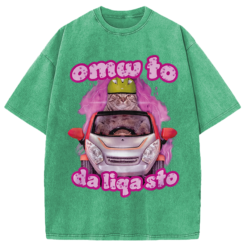 Tokyocanvas Only The Will To Funny Cat Meme Washed T-Shirt