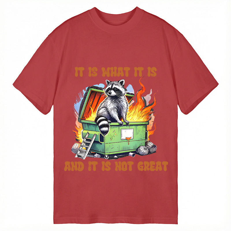 Tokyocanvas It is What Not Great Raccoon Meme Classic T-Shirt