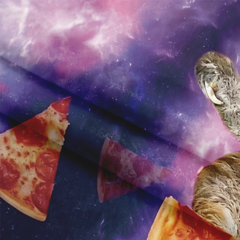 Tokyocanvas Sloth Pizza Long Sleeve Graphic Print T-Shirt