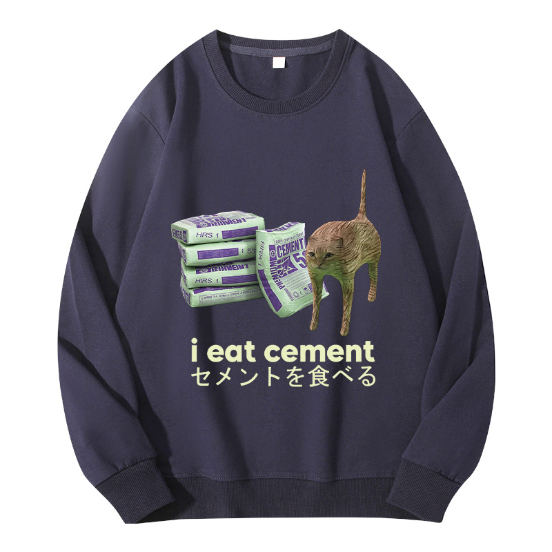 Tokyocanvas Funny Internet Cement Cat Classic Sweatshirt