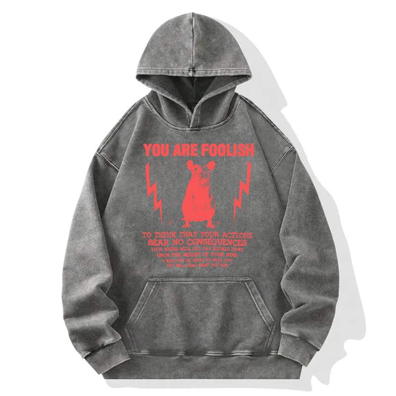 Tokyocanvas You Are Foolish Rat Meme Washed Hoodie