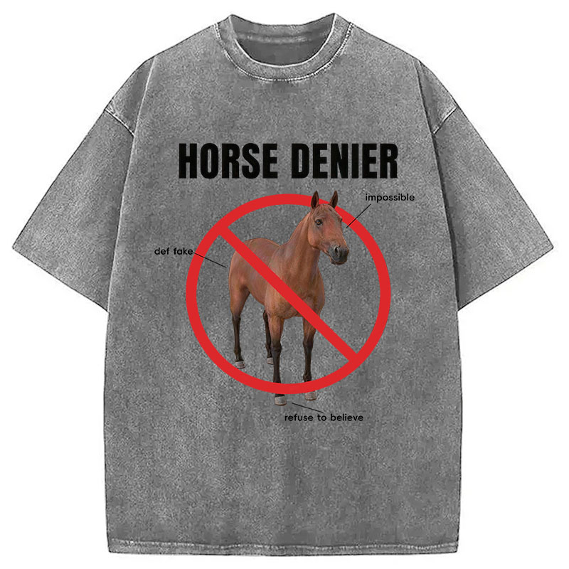 Tokyocanvas Horse Denier Analysis Washed T-Shirt