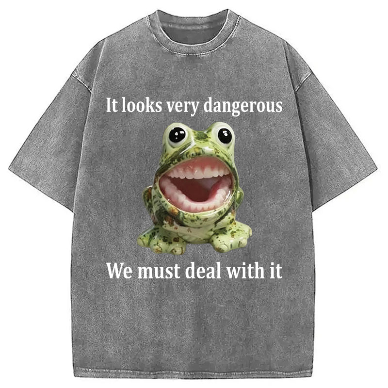 Tokyocanvas It Looks Very Dangerous Frog Washed T-Shirt