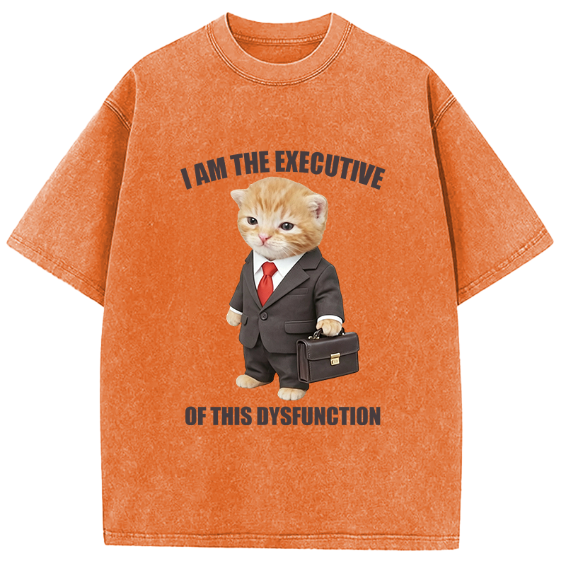 Tokyocanvas I Am The Executive Of This Dysfunction Washed T-Shirt