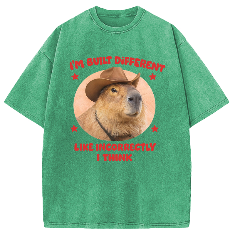Tokyocanvas I'm Built Different Like Incorrectly Capybara Washed T-Shirt