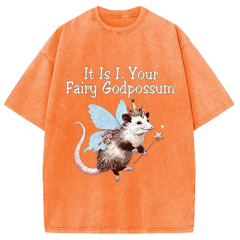Tokyocanvas It Is I Your Fairy Godpossum Washed T-Shirt