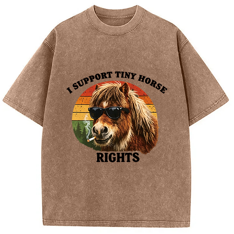 Tokyocanvas Frog Wizard Riding A Horse Washed T-Shirt