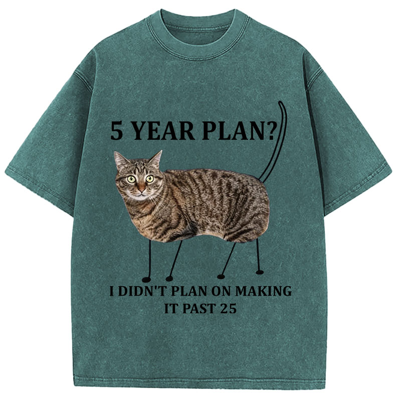 Tokyocanvas 5 Year Plan Unisex Washed T-Shirt