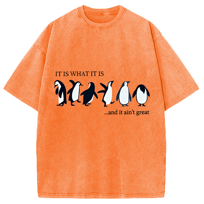 Tokyocanvas Funny Penguin Washed T-Shirt