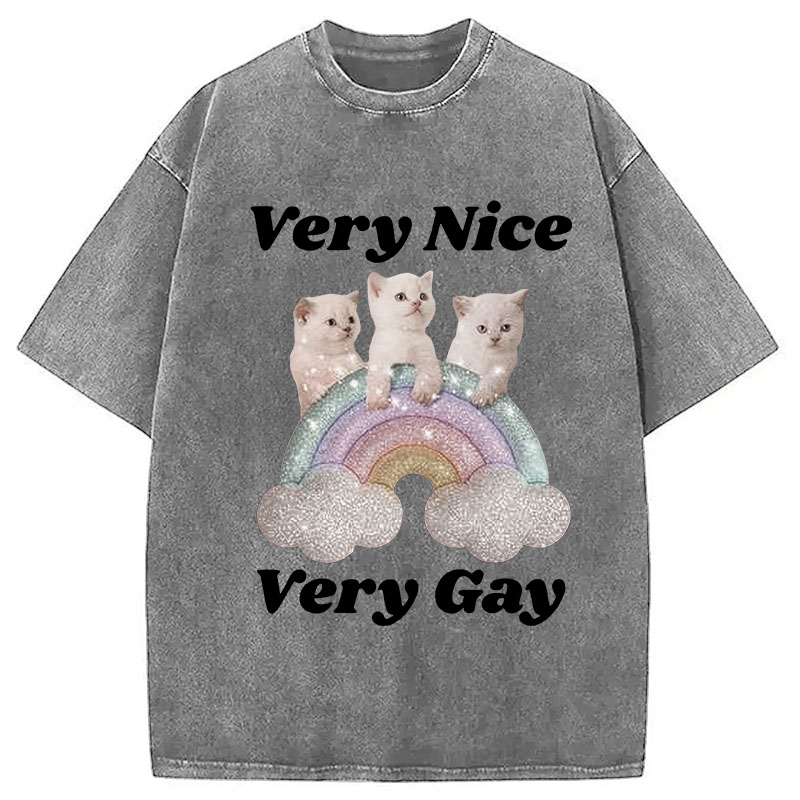 Tokyocanvas Very Nice Very Gay Washed T-Shirt