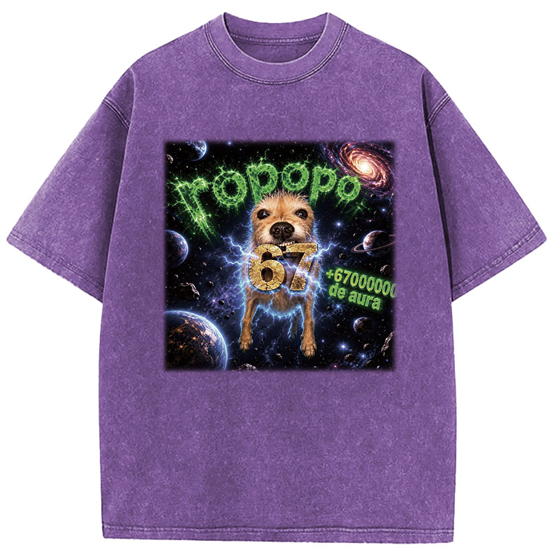 Tokyocanvas Ropopo Aura Dog Washed T-Shirt