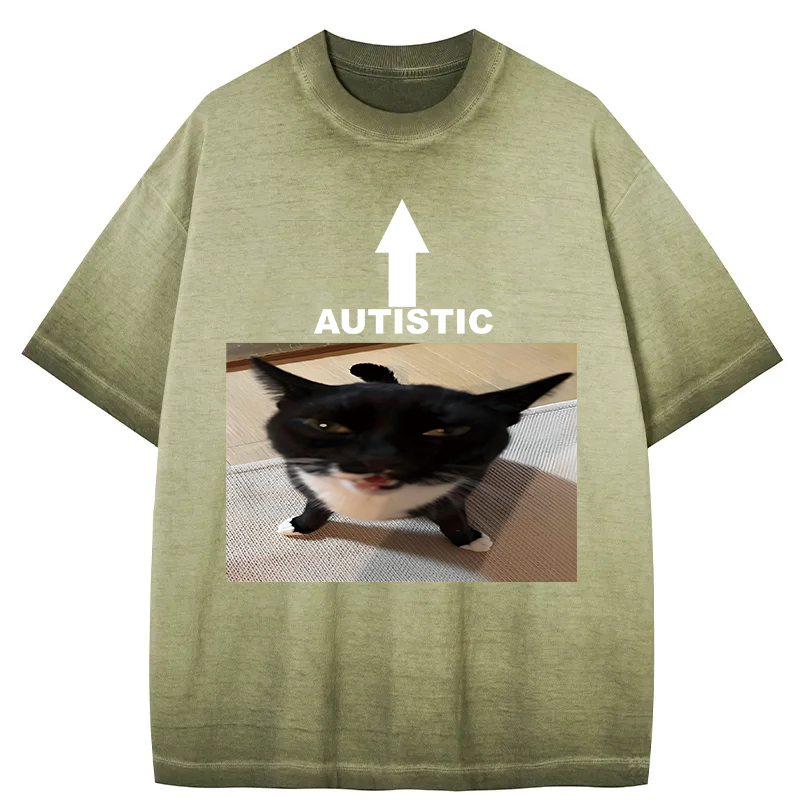 Tokyocanvas Autistic Cat Gradient Washed T-Shirt