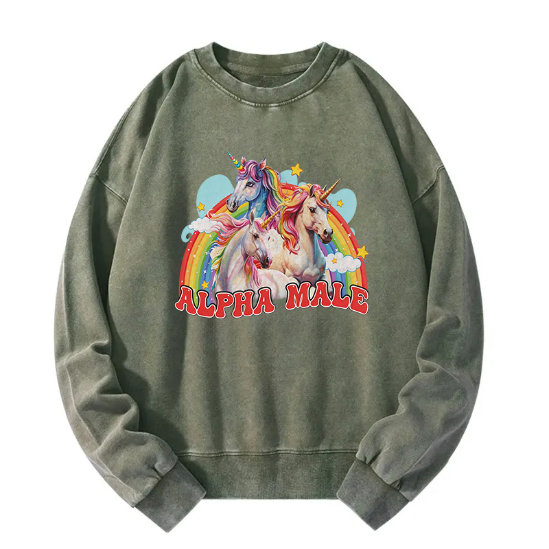 Tokyocanvas Alpha Male Unicorn Washed Sweatshirt