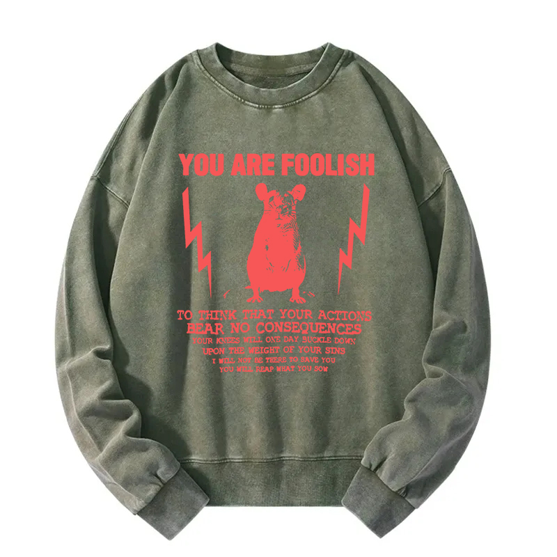 Tokyocanvas You Are Foolish Rat Meme Washed Sweatshirt