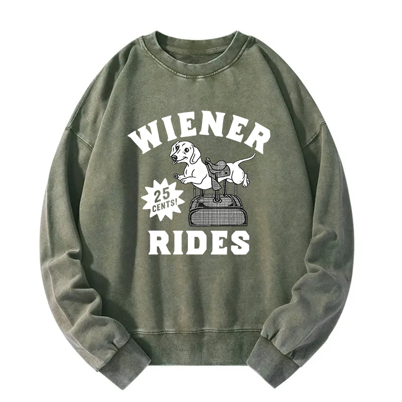 Tokyocanvas Wiener Rides Funny Dog Washed Sweatshirt