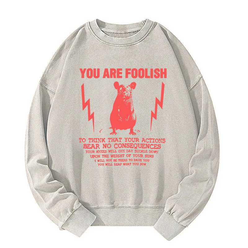 Tokyocanvas You Are Foolish Rat Meme Washed Sweatshirt
