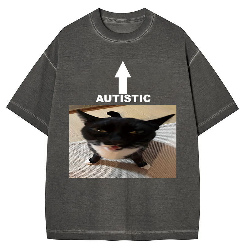 Tokyocanvas Autistic Cat Gradient Washed T-Shirt