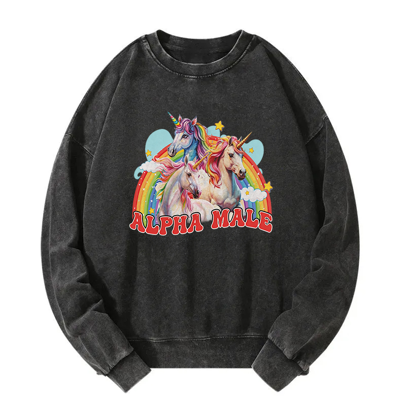 Tokyocanvas Alpha Male Unicorn Washed Sweatshirt