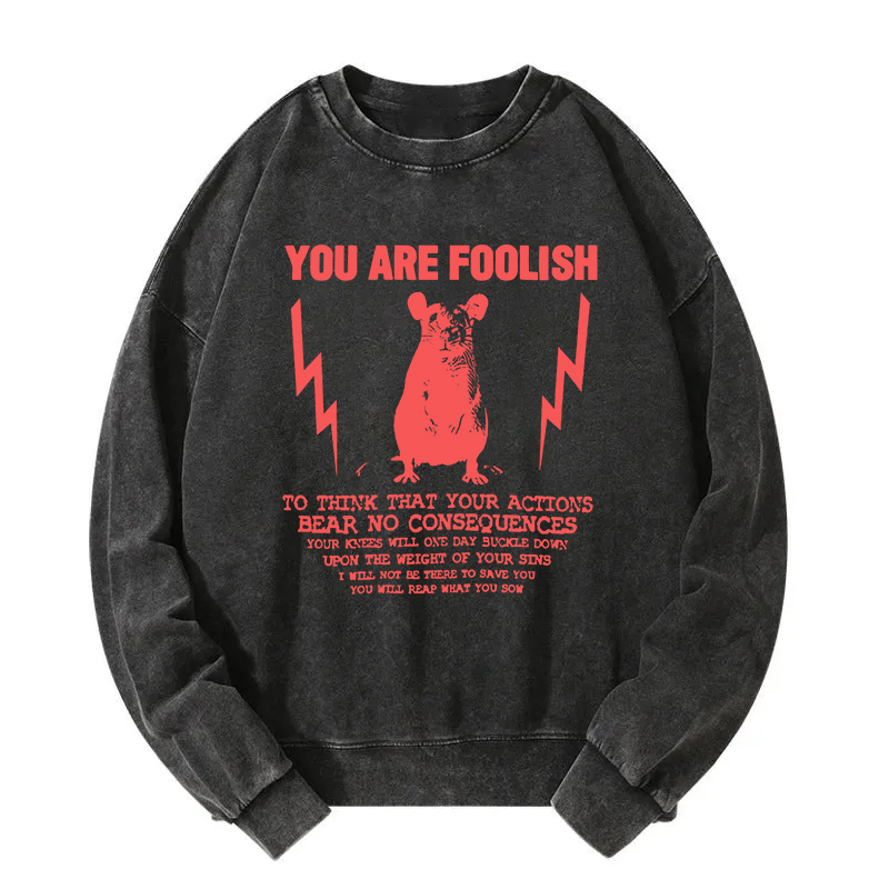 Tokyocanvas You Are Foolish Rat Meme Washed Sweatshirt
