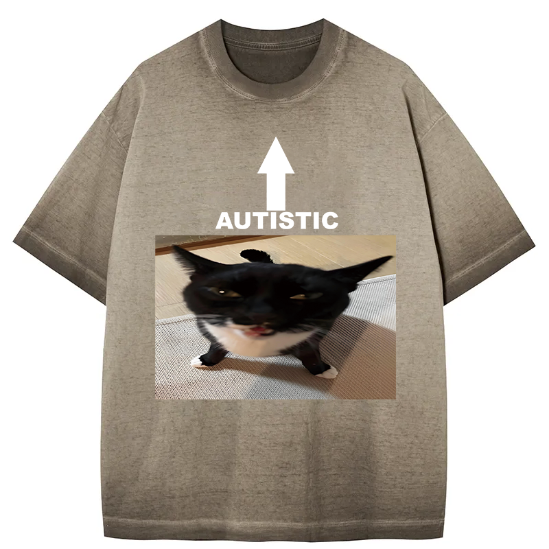 Tokyocanvas Autistic Cat Gradient Washed T-Shirt