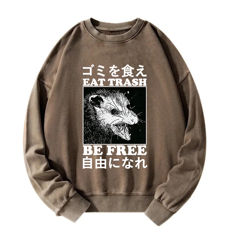 Tokyocanvas Eat Trash Be Free Washed Sweatshirt