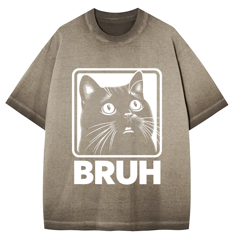 Tokyocanvas BRUH Cat Gradient Washed T-Shirt