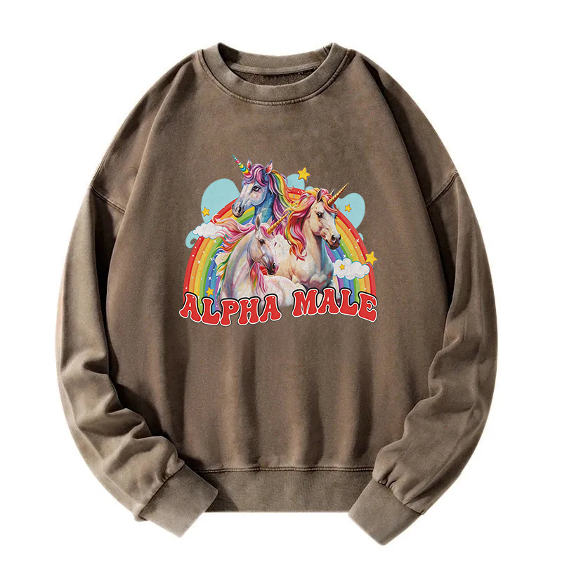 Tokyocanvas Alpha Male Unicorn Washed Sweatshirt