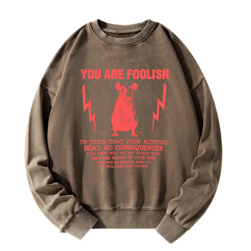 Tokyocanvas You Are Foolish Rat Meme Washed Sweatshirt